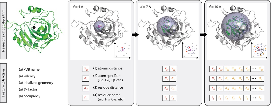 theoretical protein structure